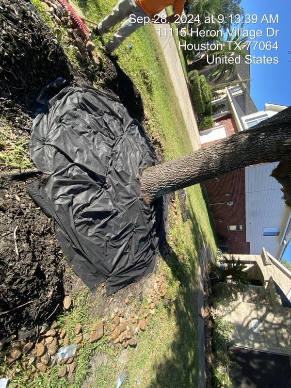 9bc37a5da53940299ff67a7ad3517f3d