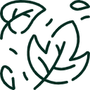 Beautiful lawns & gardens